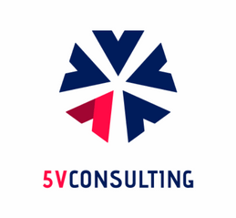 5V consulting